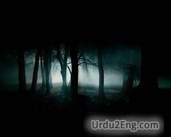 dark Urdu Meaning