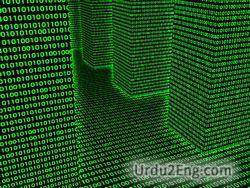 data Urdu Meaning