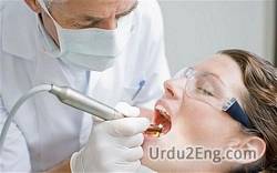 dentist Urdu Meaning