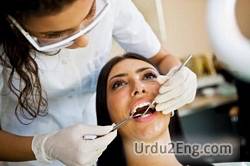 dentist Urdu Meaning