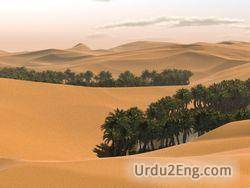 desert Urdu Meaning