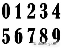 digit Urdu Meaning