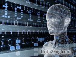 digital Urdu Meaning