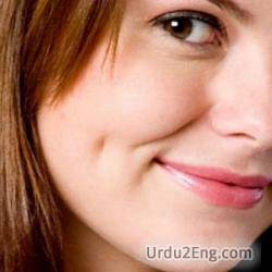 dimple Urdu Meaning