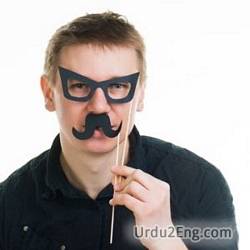 disguise Urdu Meaning