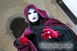 disguise Urdu Meaning