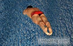 diver Urdu Meaning