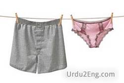 drawer Urdu Meaning