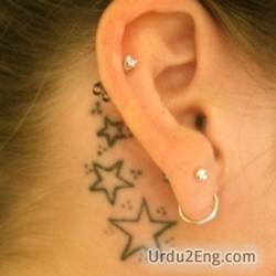 ear Urdu Meaning