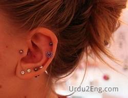 ear Urdu Meaning