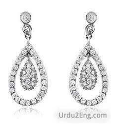 earring Urdu Meaning