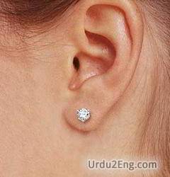 earring Urdu Meaning