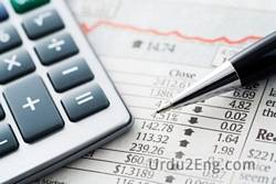 economic Urdu Meaning
