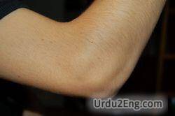 elbow Urdu Meaning