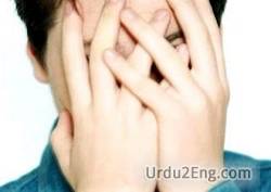 embarrass Urdu Meaning