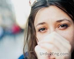 embarrass Urdu Meaning