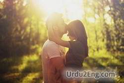 embrace Urdu Meaning