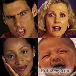 emotion Urdu Meaning