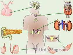 endocrine Urdu Meaning