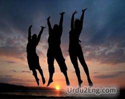 enthusiasm Urdu Meaning