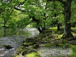 environment Urdu Meaning
