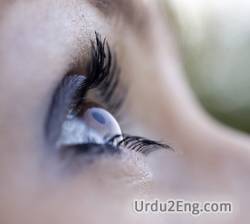 eye Urdu Meaning