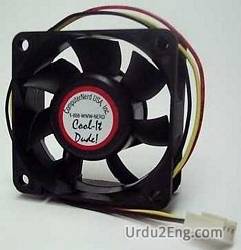 fan Urdu Meaning