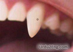 fang Urdu Meaning