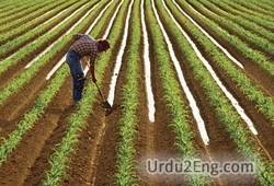 farmer Urdu Meaning