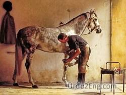 farrier Urdu Meaning