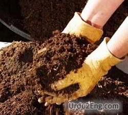 fertilizer Urdu Meaning