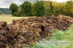 fertilizer Urdu Meaning