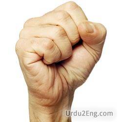 fist Urdu Meaning