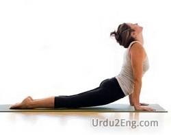 fitness Urdu Meaning