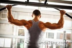 fitness Urdu Meaning