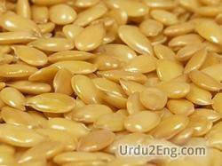 flaxseed Urdu Meaning