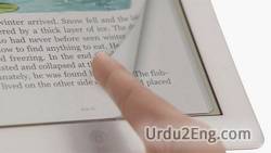 flip Urdu Meaning