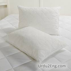 foam Urdu Meaning