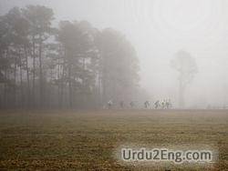 fog Urdu Meaning