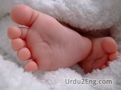 foot Urdu Meaning