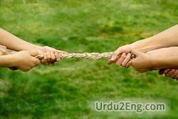 force Urdu Meaning