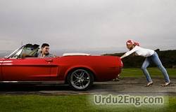 force Urdu Meaning