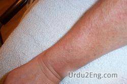 forearm Urdu Meaning