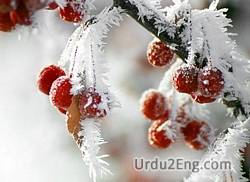 frost Urdu Meaning