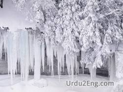 frost Urdu Meaning