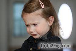 frown Urdu Meaning