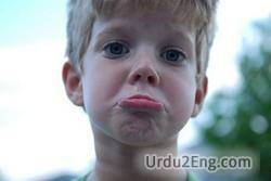 frown Urdu Meaning