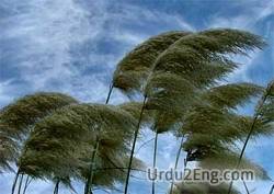 gale Urdu Meaning