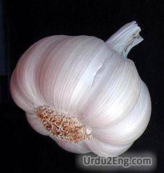 garlic Urdu Meaning