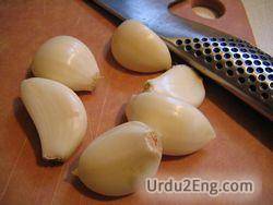 garlic Urdu Meaning